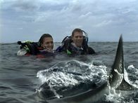 Open Water – Durch einen dummen Irrtum, bei dem die Namen der beiden nicht auf der Passagierliste landen, kommt es zum Unvermeidlichen. Das Boot fährt ohne Susan und Daniel zum Hafen zurück und lässt die beiden auf dem offenen Meer zurück.
