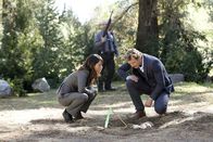 The Mentalist – Ermitteln in einem neuen Fall: Teresa (Robin Tunney, l.) und Patrick (Simon Baker, r.) ...