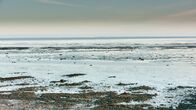 Universum: Extrem! – Ebbe im Wattenmeer bei der Hallig Gröde, Deutschland.