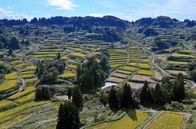 Satoyama – Auf den sanften Hängen, die durch Schlammlawinen entstehen, werden Terrassen für Reisfelder angelegt.