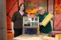 1, 2 oder 3 – Dr. Johanna Prinz, Elton. Biologin und Autorin Dr. Johanna Prinz zeigt im Studio wie ein Bienenstock organisiert ist.