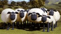 Shaun das Schaf – Shaun das Schaf (3.Staffel) - allgemein 4;