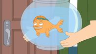 American Dad! – Hayley