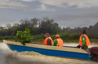 Paradiese aus Menschenhand – Bäume auf dem Boot: unterwegs zum Wiederanpflanzen von Regenwald