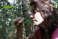 Tierische Außenseiter – Lucy Cooke