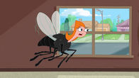 Phineas und Ferb – Candace
