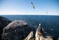 Wildes Kanada – So, 10.08., 15:35 Uhr