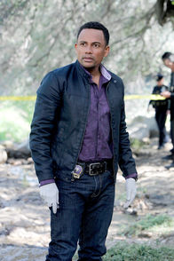 CSI: NY – CSI: NY (2012)