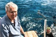 Elstners Reisen – Geht er selbst auch ins Wasser? Frank Elstner beobachtet seinen Freund Matthias Reinschmidt, der inmitten von Riffhaien taucht.