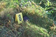 Unfall, Selbstmord oder Mord – Evidence