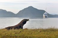 GEO Reportage – Immer häufiger besuchen Kreuzfahrtschiffe die Insel Komodo, um den Passagieren die legendären Riesenechsen zu zeigen