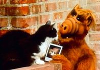 Alf – Alf (1986)