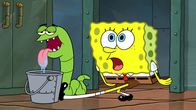 SpongeBob Schwammkopf – SpongeBob (r.)