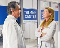 Grey's Anatomy – Dr. David Hamilton (Peter Gallagher), Dr. Meredith Grey (Ellen Pompeo).