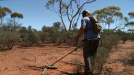 Australian Gold – Searching for gold with a metal detector.