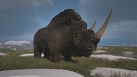 Lost Beasts - Riesen der Urzeit – Das Wollnashorn, ein Gigant der Eiszeit. Aber warum ist es ausgestorben?