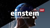 Einstein – Einstein in gebärdensprache Keyvisual 2021