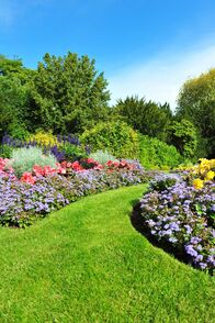 Schnittgut. Alles aus dem Garten – Garden, Flowers