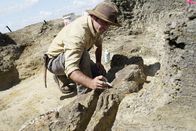 Der Untergang der Dinosaurier – Robert DePalma hat in Tanis spektakuläre Entdeckungen gemacht.