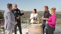 Marc Pirchers Hitgeschichten – Marc Pircher, Fred Jaklitsch, Jeannine Rossi, Walter Skoff und Eva Skoff-Liebau.