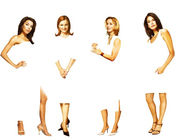 Desperate Housewives – Desperate Housewives (2005)