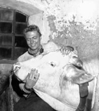 Der Weibertausch – Der Weibertausch (1952)