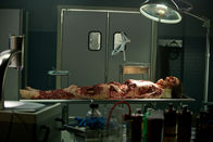 Grimm – Grimm (2011)
