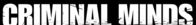 Criminal Minds – Criminal Minds (2006)