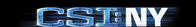 CSI: New York – CSI: New York (2008)