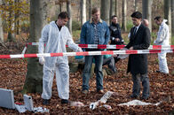 Der letzte Bulle – Der letzte Bulle (2011)
