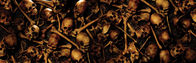 Die Fährte des Grauens – Die Fährte des Grauens (2007)