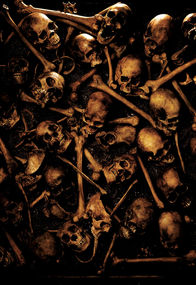 Die Fährte des Grauens – Die Fährte des Grauens (2007)