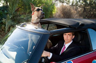 Marmaduke – Marmaduke (2010)